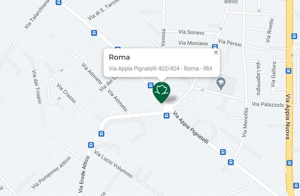 Mappa - Supermercato TODIS - Via Appia Pignatelli, 402/404 Roma (RM) - Rivenditore Cimina Funghi