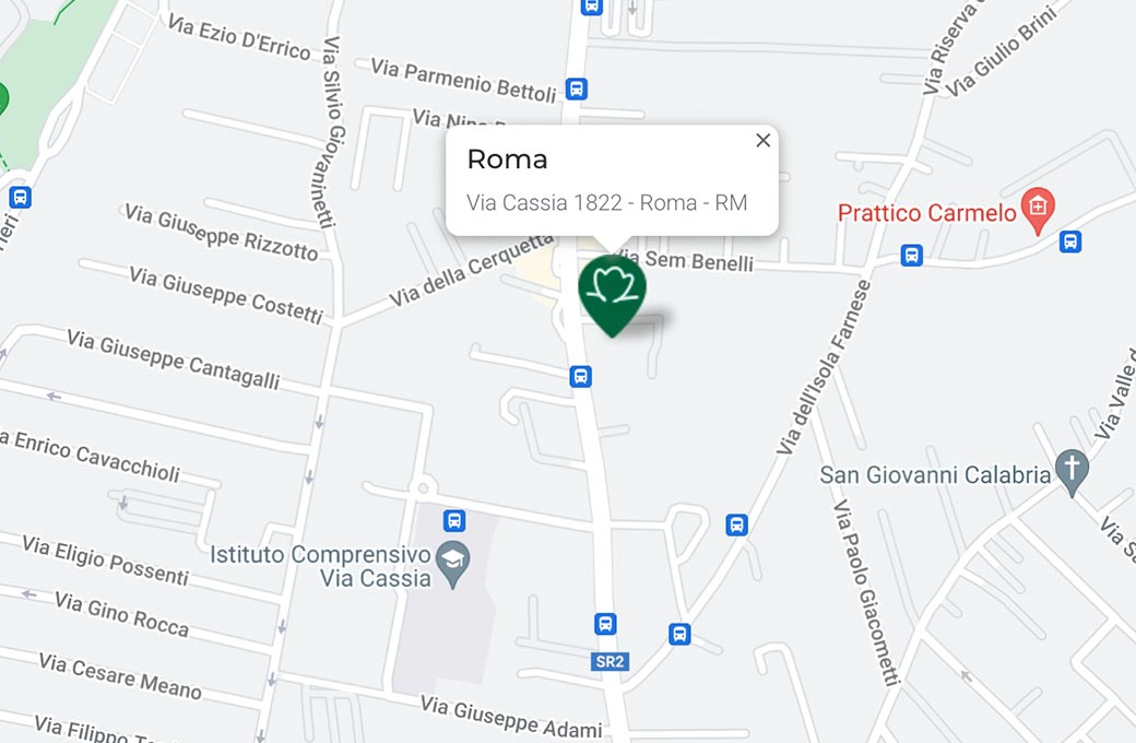Mappa - Supermercato TODIS - Via Cassia, 1822 Roma (RM) - Rivenditore Cimina Funghi