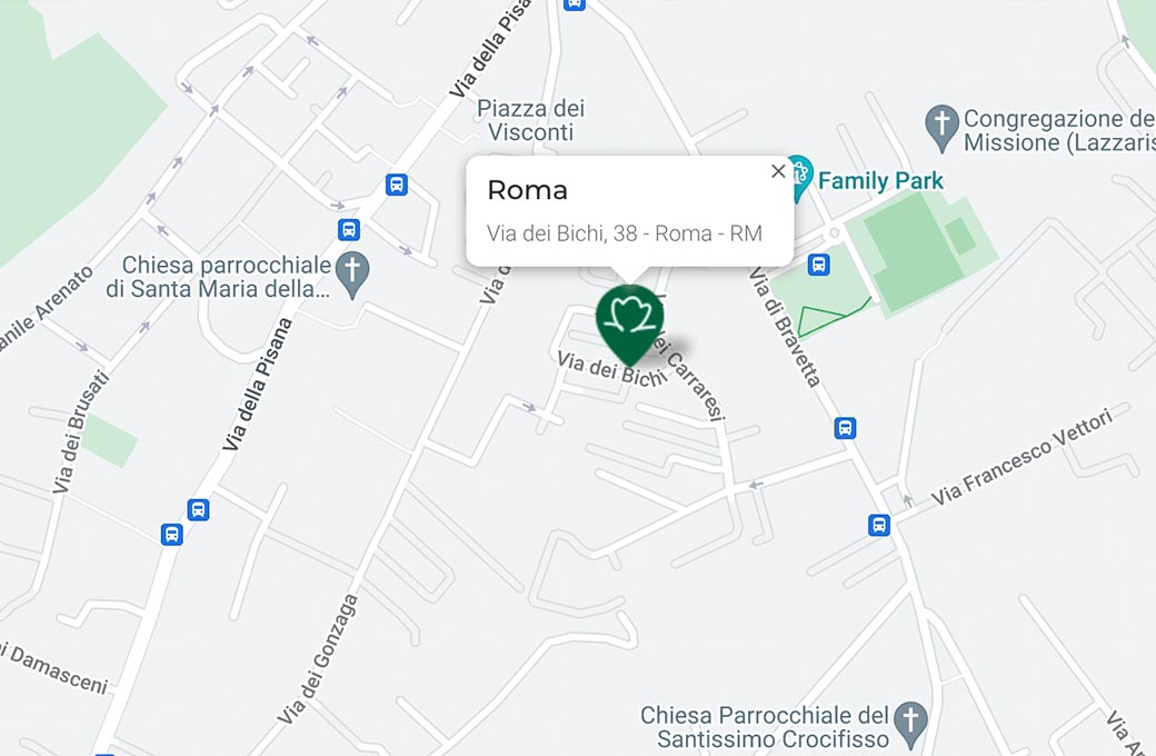 Mappa - Supermercato TODIS - Via dei Bichi, 38 Roma (RM) - Rivenditore Cimina Funghi
