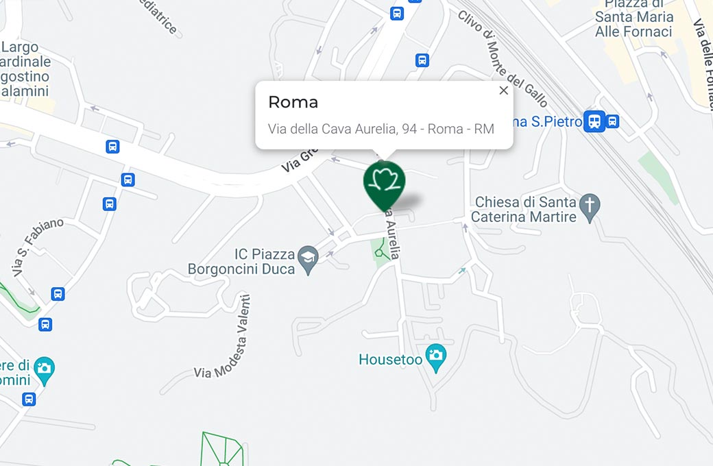 Mappa - Supermercato TODIS - Via della Cava Aurelia, 94 Roma (RM) - Rivenditore Cimina Funghi