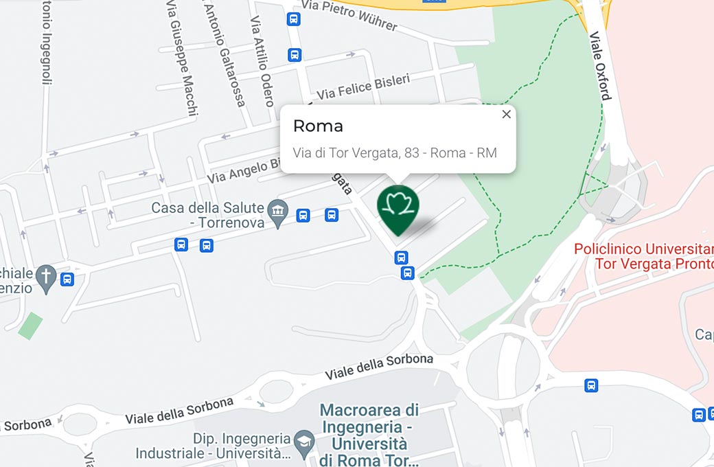 Mappa - Supermercato TODIS - Via di Tor Vergata, 83 Roma (RM) - Rivenditore Cimina Funghi