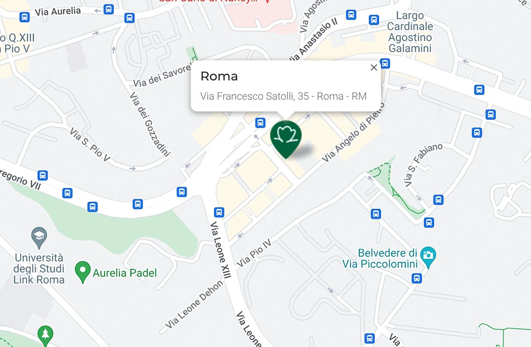 Mappa - Supermercato TODIS - Via Francesco Satolli, 35 Roma (RM) - Rivenditore Cimina Funghi