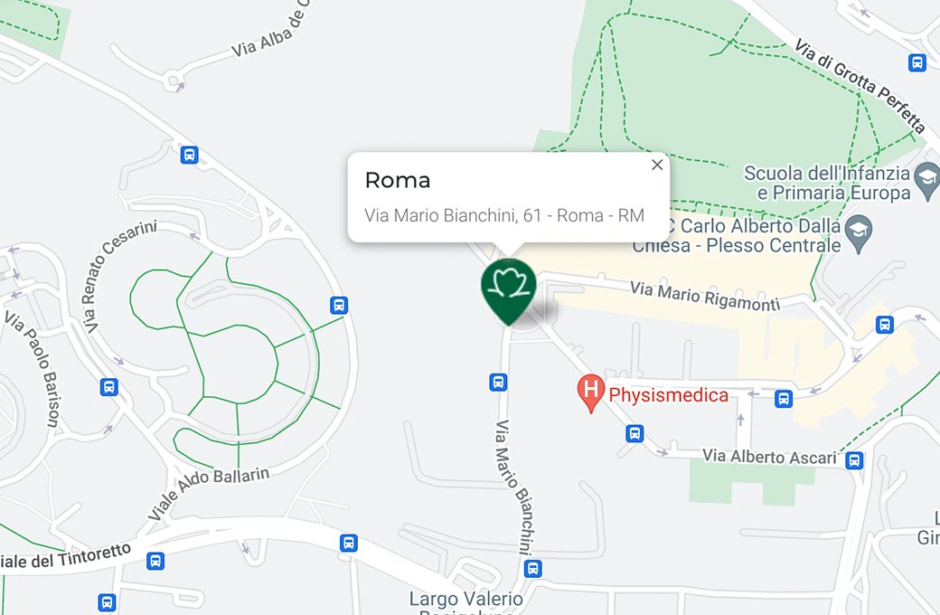 Mappa - Supermercato TODIS - Via Mario Bianchini, 61 Roma (RM) - Rivenditore Cimina Funghi