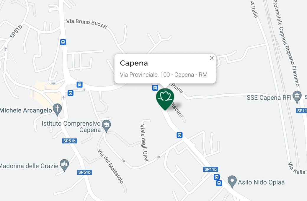 Mappa - Supermercato TODIS - Via Provinciale, 100 Capena (RM) - Rivenditore Cimina Funghi