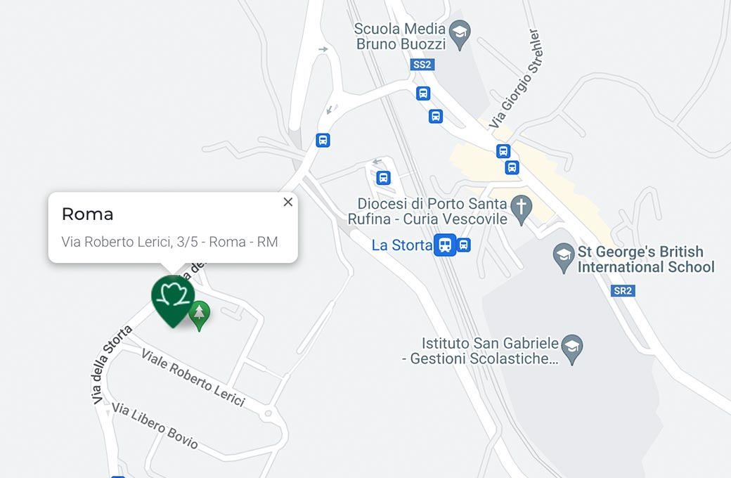 Mappa - Supermercato TODIS - Via Roberto Lerici, 3/5 Roma (RM) - Rivenditore Cimina Funghi