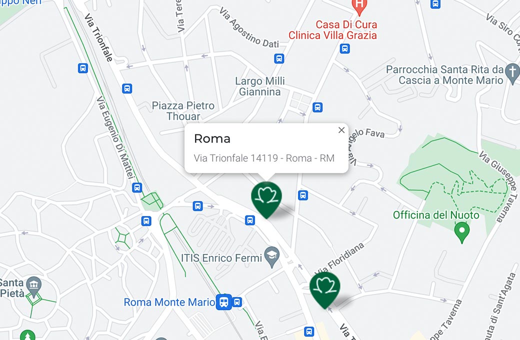 Mappa - Supermercato TODIS - Via Trionfale, 14119 Roma (RM) - Rivenditore Cimina Funghi
