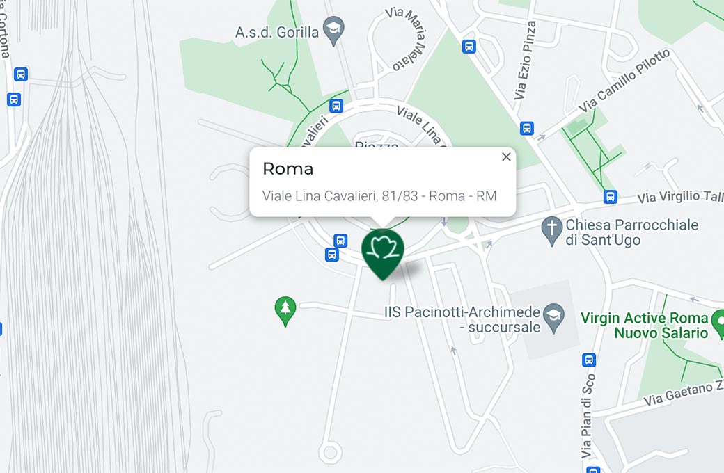 Mappa - Supermercato TODIS - Viale Lina Cavalieri, 81/83 Roma (RM) - Rivenditore Cimina Funghi